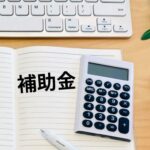 最大255万円も！新車補助金制度で得する購入術